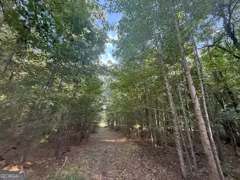 4 Bunch Rd, Tignall, GA 30668 photo 10