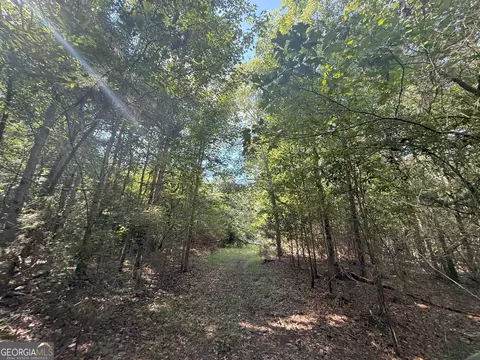 4 Bunch Rd, Tignall, GA 30668 photo 25