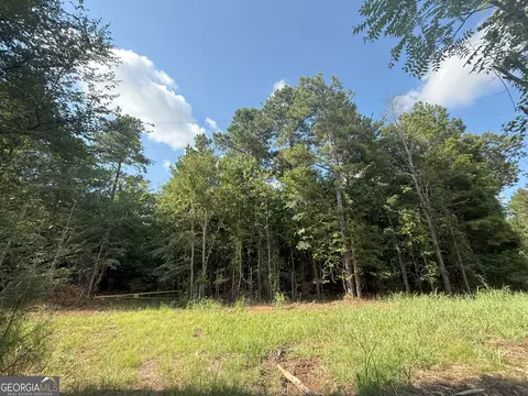 4 Bunch Rd, Tignall, GA 30668 photo 26