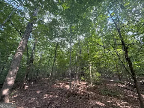 4 Bunch Rd, Tignall, GA 30668 photo 21