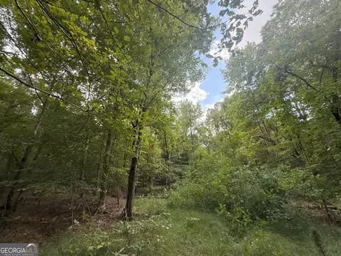 4 Bunch Rd, Tignall, GA 30668 photo 18
