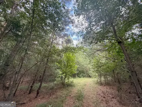 4 Bunch Rd, Tignall, GA 30668 photo 13