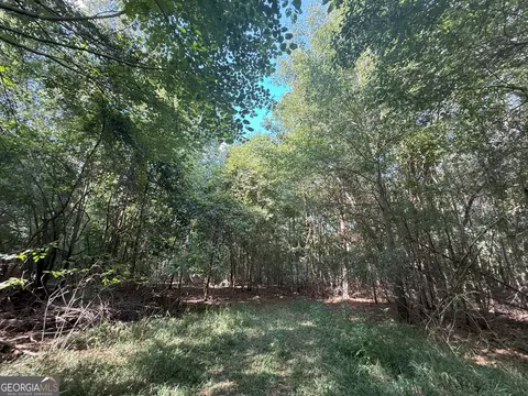 4 Bunch Rd, Tignall, GA 30668 photo 24