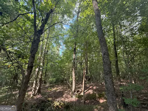 3 Bunch Rd, Tignall, GA 30668 photo 6
