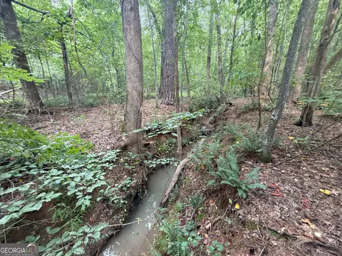 3 Bunch Rd, Tignall, GA 30668 photo 36