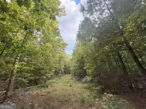 3 Bunch Rd, Tignall, GA 30668 photo 28