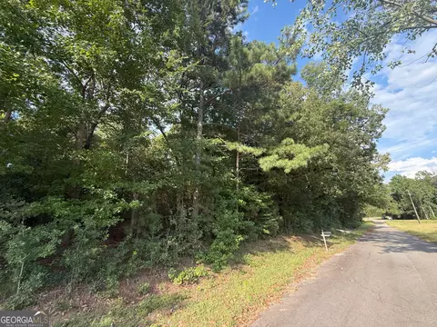 3 Bunch Rd, Tignall, GA 30668 photo 5