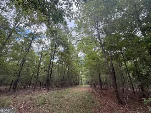3 Bunch Rd, Tignall, GA 30668 photo 17