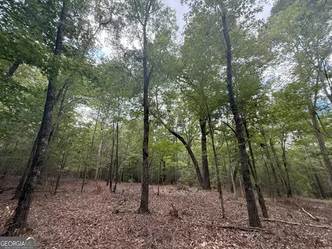 3 Bunch Rd, Tignall, GA 30668 photo 16