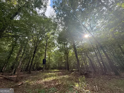 3 Bunch Rd, Tignall, GA 30668 photo 26