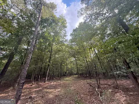 3 Bunch Rd, Tignall, GA 30668 photo 27