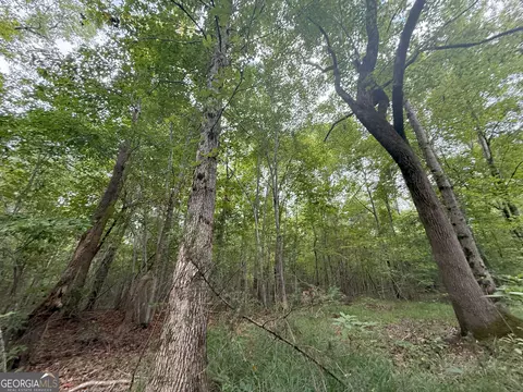 3 Bunch Rd, Tignall, GA 30668 photo 30
