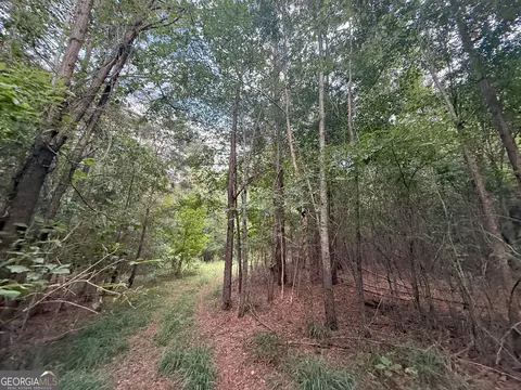 3 Bunch Rd, Tignall, GA 30668 photo 8