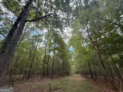 3 Bunch Rd, Tignall, GA 30668 photo 12