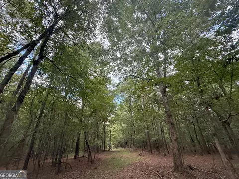3 Bunch Rd, Tignall, GA 30668 photo 11
