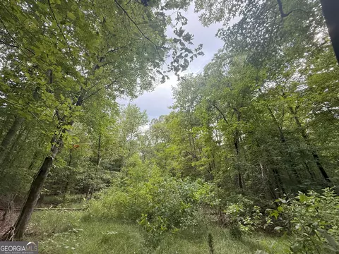 3 Bunch Rd, Tignall, GA 30668 photo 29