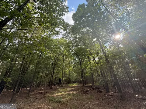 3 Bunch Rd, Tignall, GA 30668 photo 25