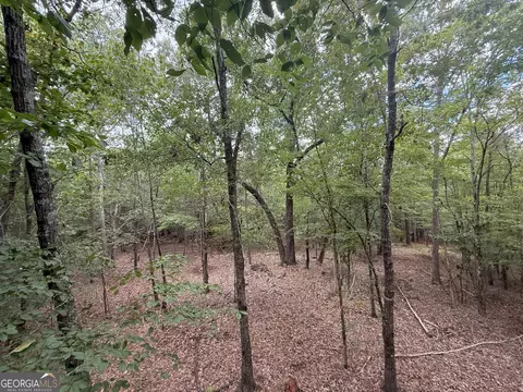 3 Bunch Rd, Tignall, GA 30668 photo 14