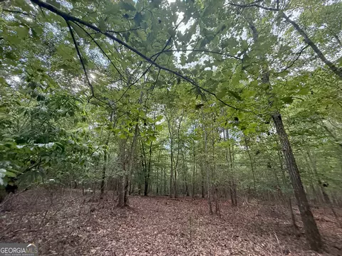 3 Bunch Rd, Tignall, GA 30668 photo 24