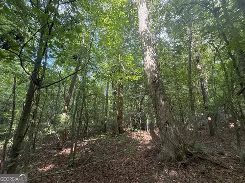 3 Bunch Rd, Tignall, GA 30668 photo 43