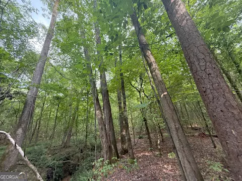 3 Bunch Rd, Tignall, GA 30668 photo 33