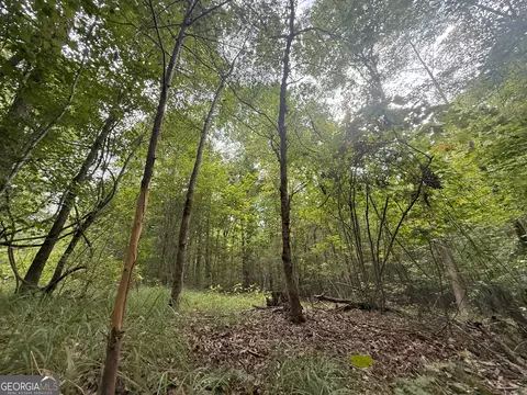 3 Bunch Rd, Tignall, GA 30668 photo 32