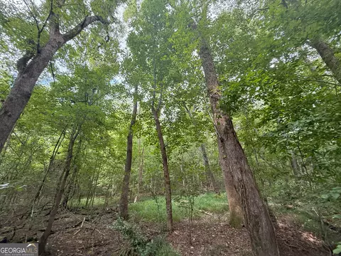3 Bunch Rd, Tignall, GA 30668 photo 35