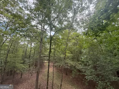 3 Bunch Rd, Tignall, GA 30668 photo 13
