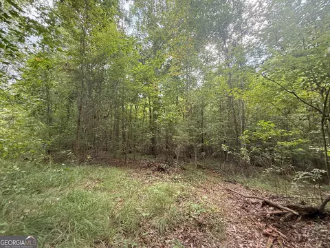 3 Bunch Rd, Tignall, GA 30668 photo 31