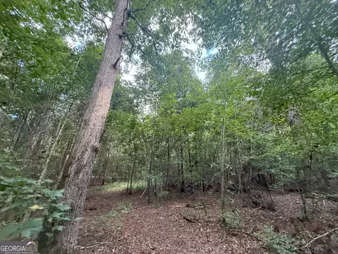 3 Bunch Rd, Tignall, GA 30668 photo 10