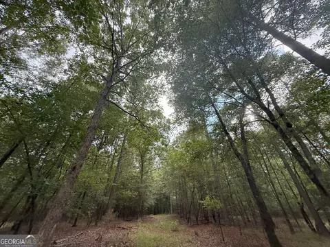 3 Bunch Rd, Tignall, GA 30668 photo 19