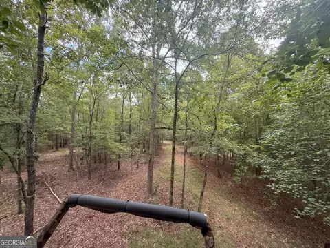 3 Bunch Rd, Tignall, GA 30668 photo 15