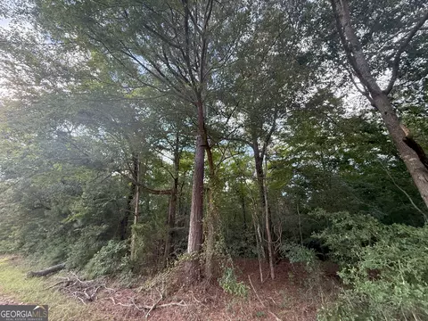 3 Bunch Rd, Tignall, GA 30668 photo 7
