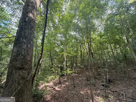 3 Bunch Rd, Tignall, GA 30668 photo 42