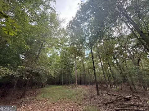 3 Bunch Rd, Tignall, GA 30668 photo 18