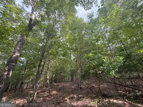 3 Bunch Rd, Tignall, GA 30668 photo 23