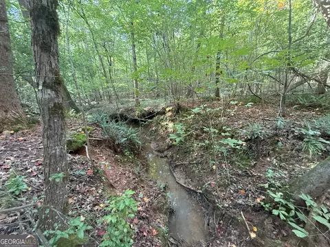 3 Bunch Rd, Tignall, GA 30668 photo 38
