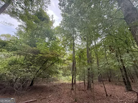 3 Bunch Rd, Tignall, GA 30668 photo 21