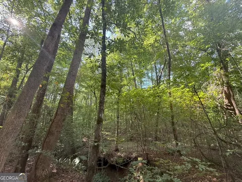 3 Bunch Rd, Tignall, GA 30668 photo 39
