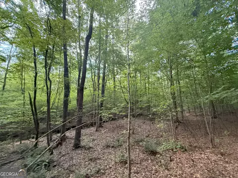 2 Bunch Rd, Tignall, GA 30668 photo 17