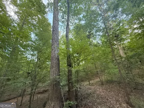 2 Bunch Rd, Tignall, GA 30668 photo 22