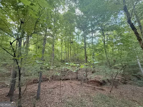 2 Bunch Rd, Tignall, GA 30668 photo 6