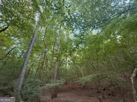 2 Bunch Rd, Tignall, GA 30668 photo 8