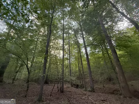 2 Bunch Rd, Tignall, GA 30668 photo 7