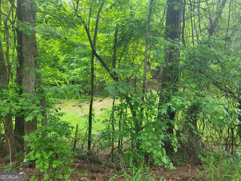 0 Fincherville Rd #TRACT 1, Jackson, GA 30233