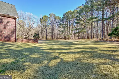 671 Ellison Rd, Tyrone, GA 30290 photo 42