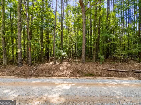 0 Drummond Rd, Franklin, GA 30217 photo 5