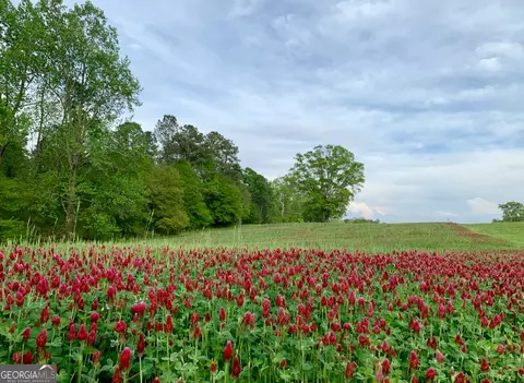 Other - 1224 Walker Rd, Madison, GA 30650 photo 12 of 22