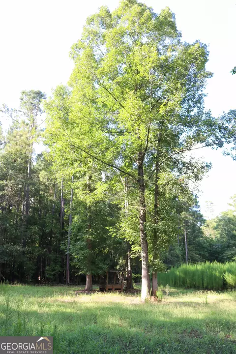 Exterior - 1224 Walker Rd, Madison, GA 30650 photo 10 of 10