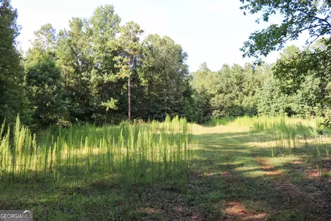 Other - 1224 Walker Rd, Madison, GA 30650 photo 18 of 22